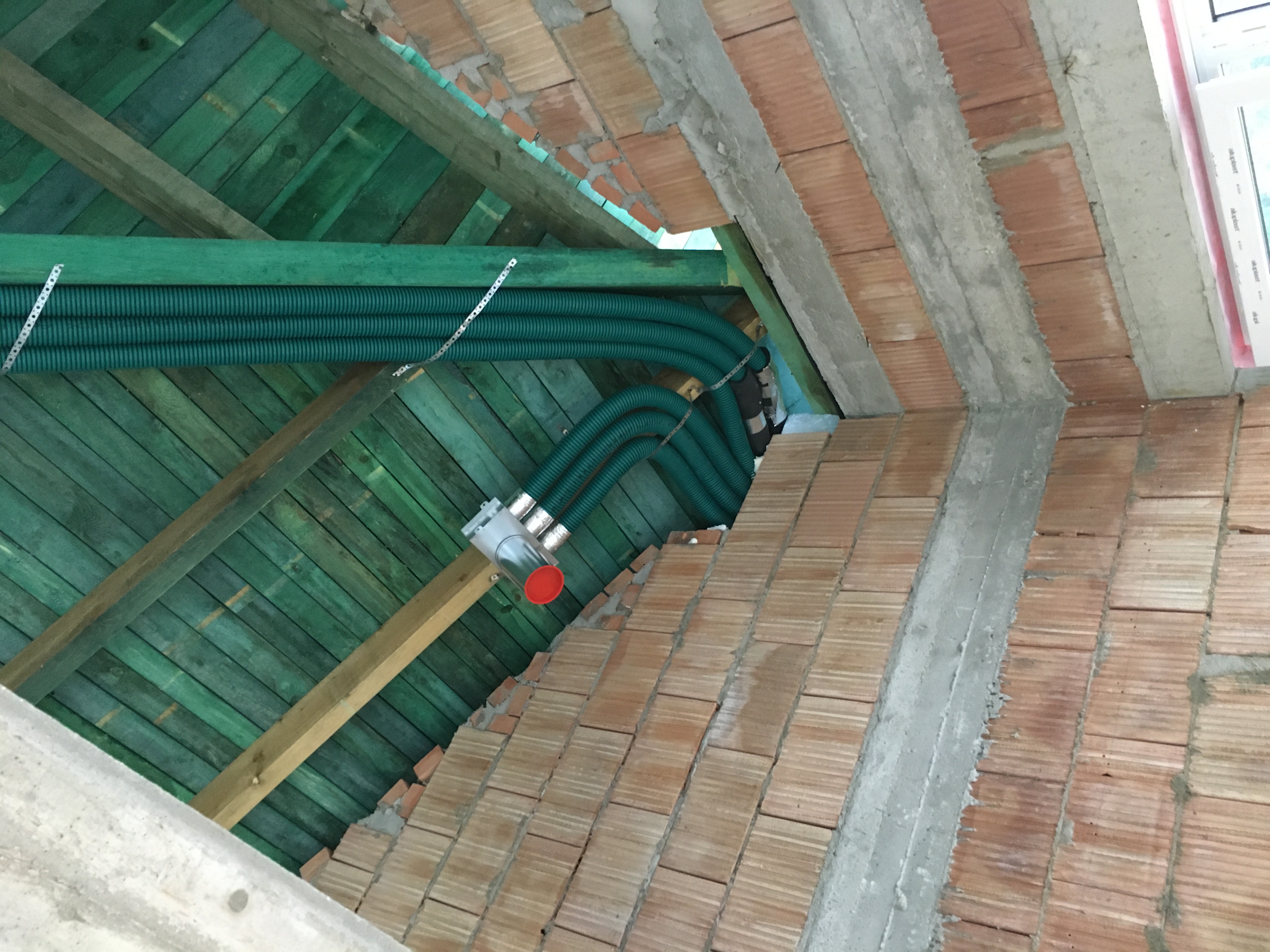 IMG_8116.JPG